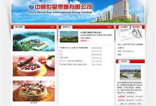 中國世星集團有限公司
