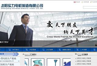 沈陽實(shí)力電機(jī)制造有限公司